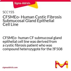 CFSMEo- линия эпителиальных клеток подслизистых желез человека с муковисцидозом