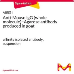 Антитело козье против IgG мыши (целая молекула) на агарозе