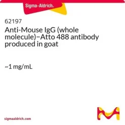 Антитело к IgG мыши (целая молекула), меченное Atto 488 (козье)