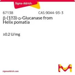 β-(1→3)-D-глюканаза из Helix pomatia