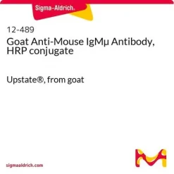 Козье анти-мышиное IgMµ антитело, HRP-конъюгат