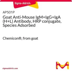 Козьи анти-мышиные IgM+IgG+IgA (H+L) антитела, конъюгированные с пероксидазой хрена (HRP), с адсорбцией перекрестно-реагирующих антител
