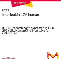 Интерлейкин-17A человеческий (IL-17A)