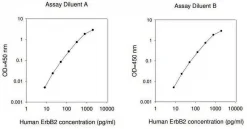 Набор для ИФА Human ErbB2 / HER2