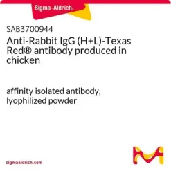 Антитела к IgG кролика (H+L), меченные Texas Red® (куриные)
