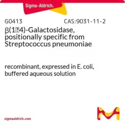 β(1→4)-Галактозидаза, рекомбинантная, из Streptococcus pneumoniae