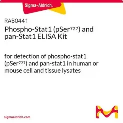 Фосфо-Stat1 (pSer727) и pan-Stat1 ELISA набор