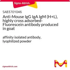 Антитело к иммуноглобулинам мыши IgG, IgA, IgM (H+L) с флуоресцеиновой меткой, полученное на козе