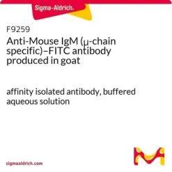 Антитела к IgM мыши (μ-цепь) с FITC, аффинно очищенные