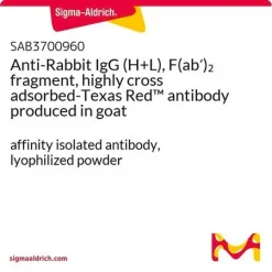 Антитело Anti-Rabbit IgG (H+L), фрагмент F(ab')2, высоко перекрестно адсорбированное, конъюгированное с Texas Red™, полученное в козе