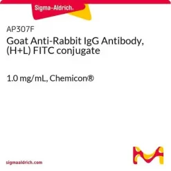 Антитело козы против IgG кролика (H+L), конъюгат с FITC