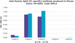 Моноклональное антитело против IgG2 человека (Fc-специфичное), клон HP-6002
