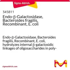 Эндо-β-галактозидаза рекомбинантная (Bacteroides fragilis, E. coli)