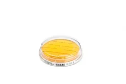 Триптиказо-соевый агар (TSA) с нейтрализаторами, контактные пластины готовые к использованию