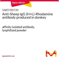 Антитела к IgG овцы (H+L) с родамином (TRITC), ослиные