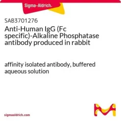 Антитело Anti-Human IgG (Fc-специфичное) с щелочной фосфатазой (кролик)