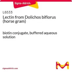 Лектин из Dolichos biflorus (конские бобы)