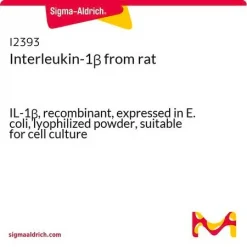 Интерлейкин-1β (крысиный)