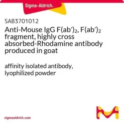 Антитело козы против F(ab′)2 фрагмента мышиного IgG (Rhodamine)