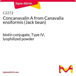 Конканавалин A из Canavalia ensiformis (джек-боб)