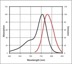 Антитело к IgG кролика (H+L), CF™ 750 (из козы)