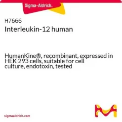 Интерлейкин-12 человека