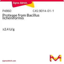Протеаза из Bacillus licheniformis