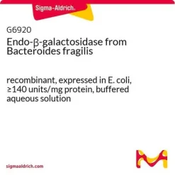 Эндо-β-галактозидаза из Bacteroides fragilis