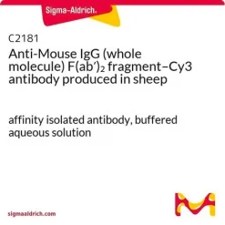 Антитело к IgG мыши (целая молекула) фрагмент F(ab′)2–Cy3 (овечий)