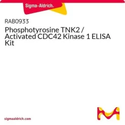Phosphotyrosine TNK2 / Activated CDC42 Kinase 1 ELISA набор