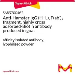Антитела к IgG хомяка (H+L), фрагмент F(ab')2, высокоперекрестно адсорбированные, биотинилированные, козьи
