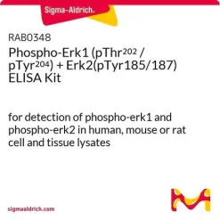 Фосфо-Erk1 (pThr202/pTyr204) + Erk2 (pTyr185/187) ELISA набор