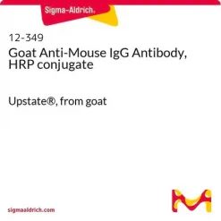 Антитело козы против IgG мыши, конъюгат с пероксидазой хрена (HRP)