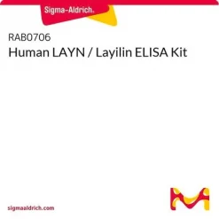 ELISA набор для человеческого Layilin (LAYN)