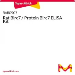 Набор ELISA для обнаружения крысиного белка Birc7 (Livin)