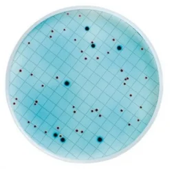m-ColiBlue24 Broth