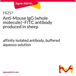 Антитело к IgG мыши (цельная молекула) с FITC, полученное на овце