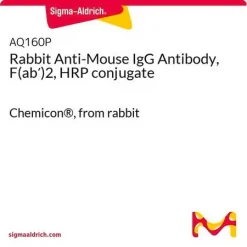Антитело кролика против IgG мыши, F(ab′)2, конъюгат с пероксидазой хрена (HRP)