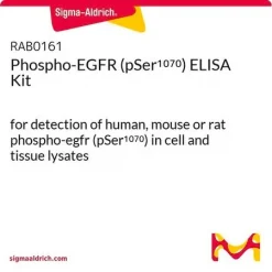 Набор ELISA для фосфо-EGFR (pSer1070)