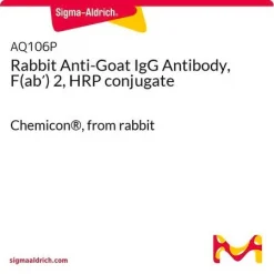 Кроличьи антитела к козьему IgG, фрагмент F(ab′)2, конъюгат с пероксидазой хрена