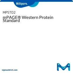 mPAGE® Стандарт белков для вестерн-блоттинга