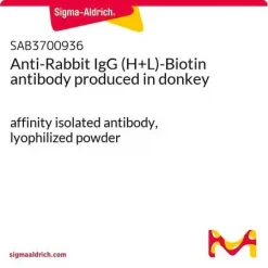 Антитело к IgG кролика (H+L)-биотин (ослиное)