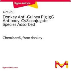 Антитело осла против IgG морской свинки, конъюгат Cy3, адсорбированное по видам