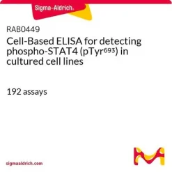 Клеточный ELISA набор для обнаружения фосфорилированного STAT4 (pTyr693)