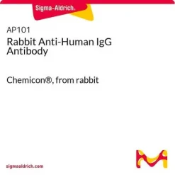 Антитело к IgG человека (кроличье)