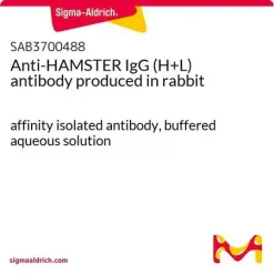 Антитела к IgG (H+L) хомяка (кроличьи)