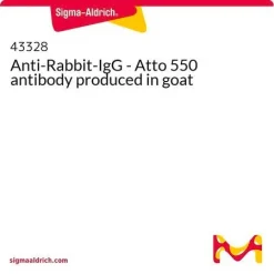 Козьи антитела к кроличьим IgG Atto 550