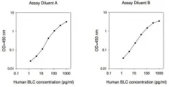 Human BLC / BCA-1 / CXCL13 ELISA Kit
