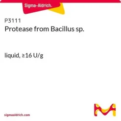 Протеаза из Bacillus sp.