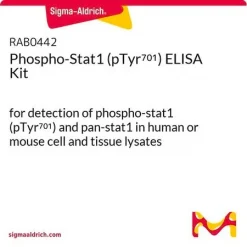 Phospho-Stat1 (pTyr701) набор для ИФА